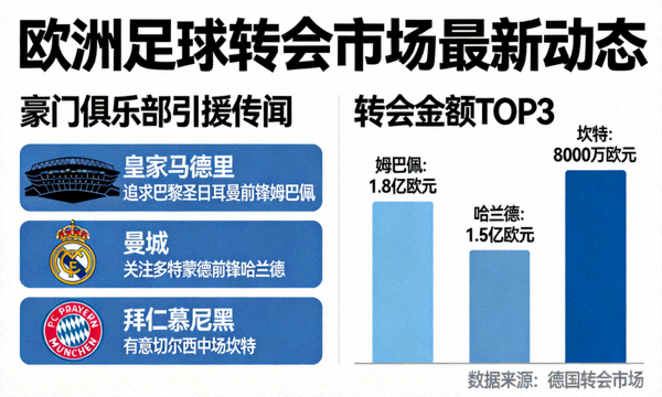 欧洲足球转会市场最新动态，豪门俱乐部引援传闻